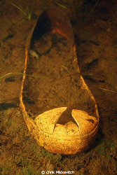 Old Sneaker;  Just looked like it wanted its picture taken? by Chris Miskavitch 